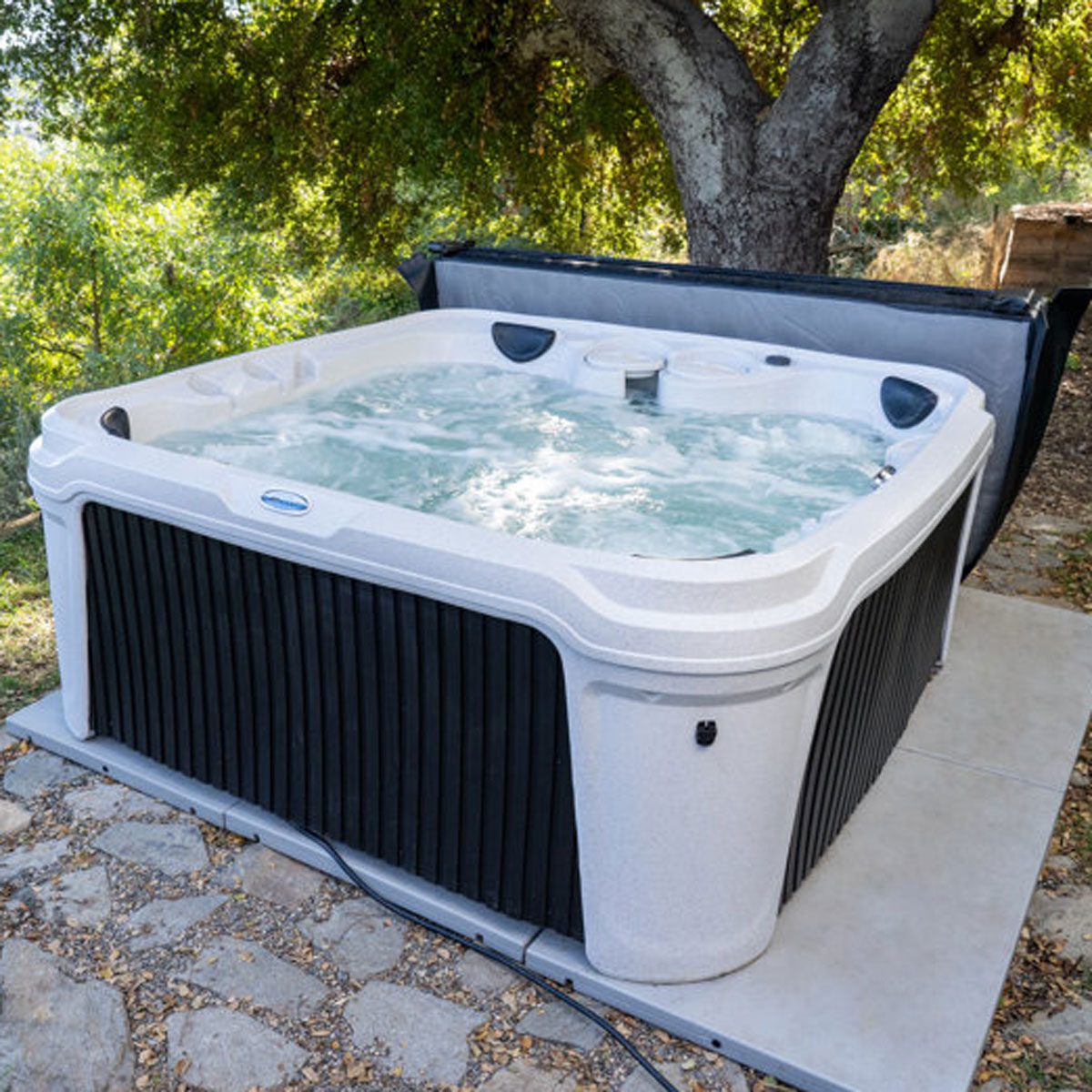 Aquarest Daydream 3500 6 Person Plug & Play Hot Tub With Ozonator