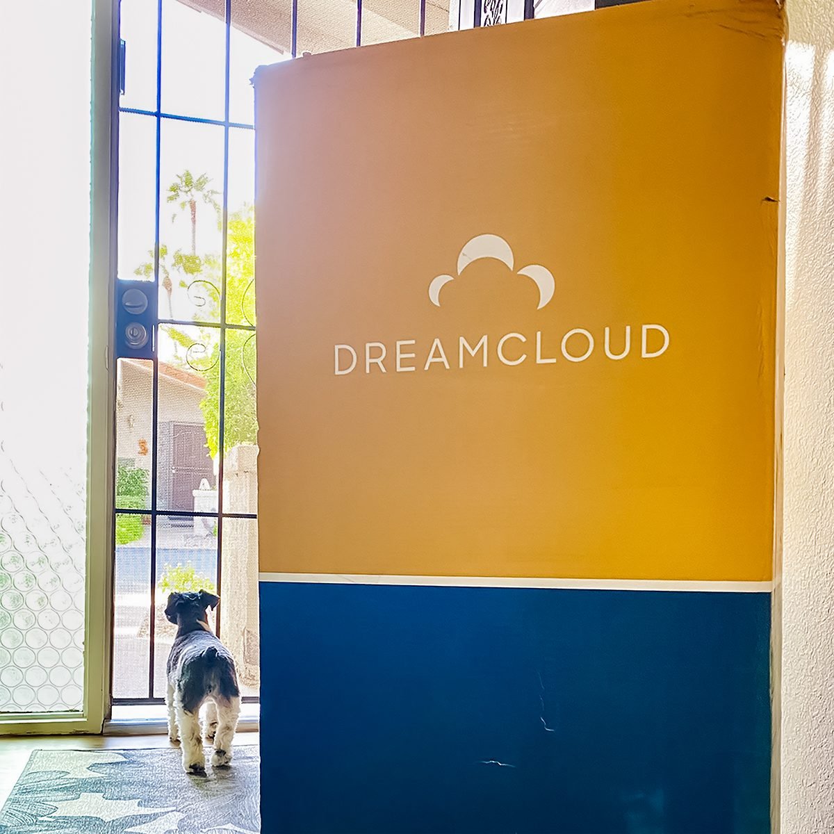 DreamCloud Mattress Review: We Tried It for a Year, and Here’s What Happened